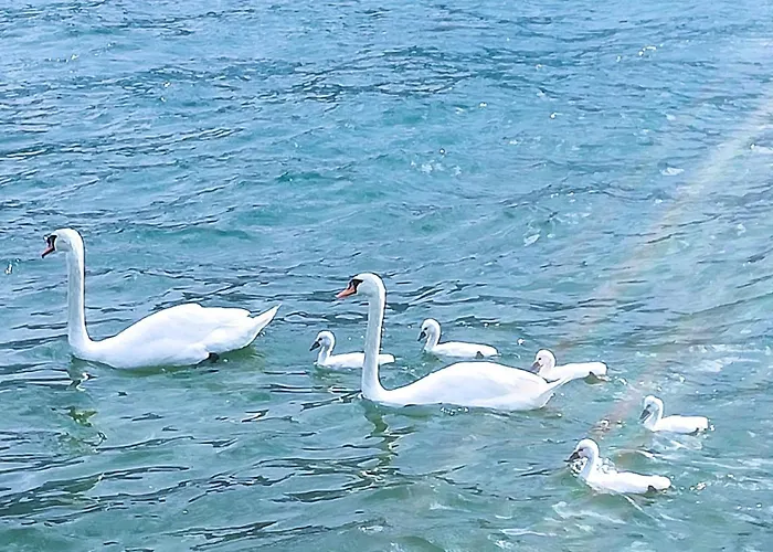 A Dream On The Via Roma * Lierna